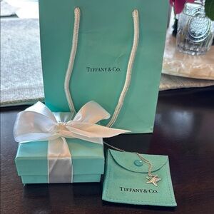 Tiffany & Co. Silver Elsa Peretti Starfish Pendant Necklace